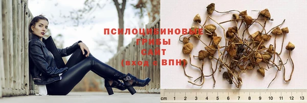 ПСИЛОЦИБИНОВЫЕ ГРИБЫ Балабаново