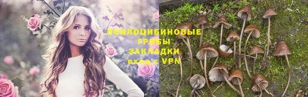 бутират Баксан