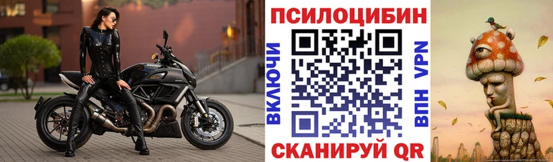 наркота  Покровск  МЕГА вход  Галлюциногенные грибы Psilocybe 